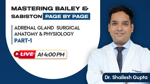 WhatsApp Image 2025 06 21 at 11.48.42 AM.jpg