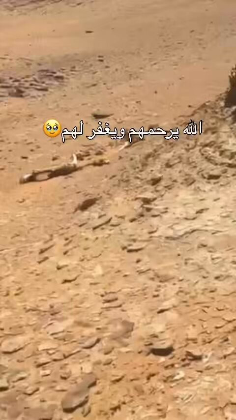 m5EigDPuhz7i cxS.jpg