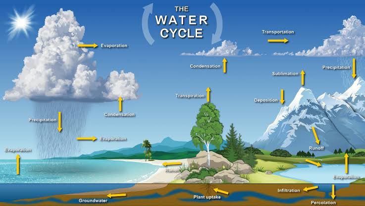 Comparison of humidity levels from dry to humid environments