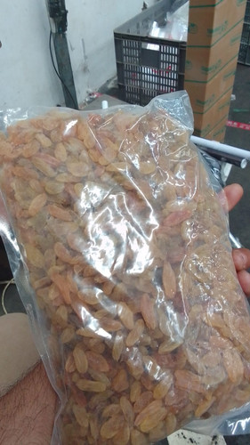 WhatsApp Image 2025 06 22 at 11.21.45.jpg