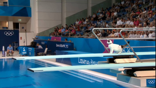 BPpazec9 lNCH7Mz.jpg