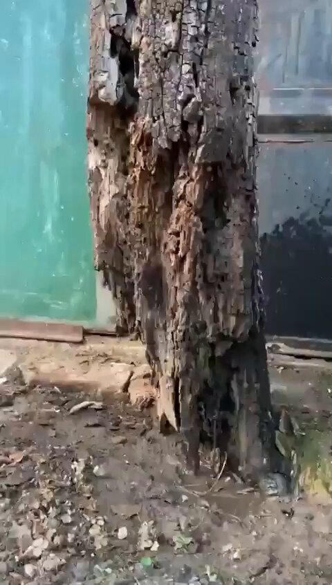 eTKDutQqOzh VMG1.jpg