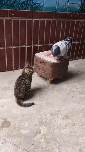 jFEfV3kFTRFU9 LZ.jpg