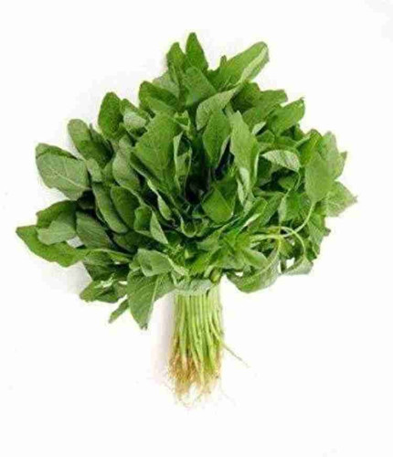 500 rxi 617 amaranth vegetable s.jpg