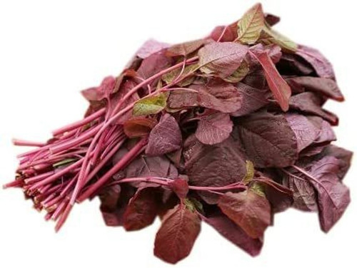 500 lxi 140 organic red amaranth.jpg