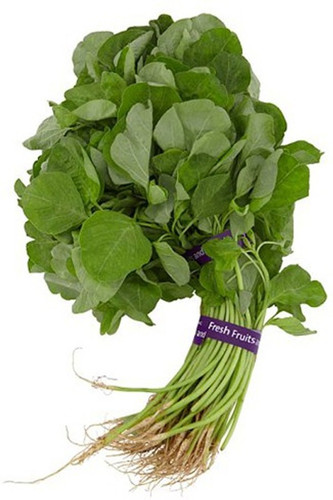 200 amaranthus green amaranth se.jpg