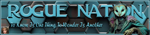 Hexag Banner.jpg
