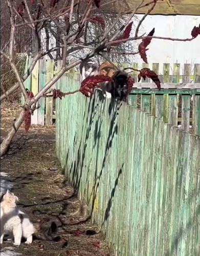 4hwDLByQmBMfK n5.jpg