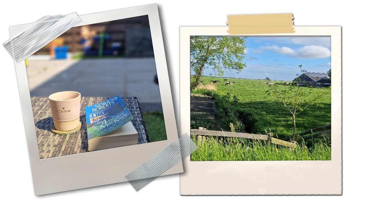 Nog 3 weken tot de zomervakantie…