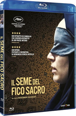 810WDJrOAFL. SL1500 .jpg