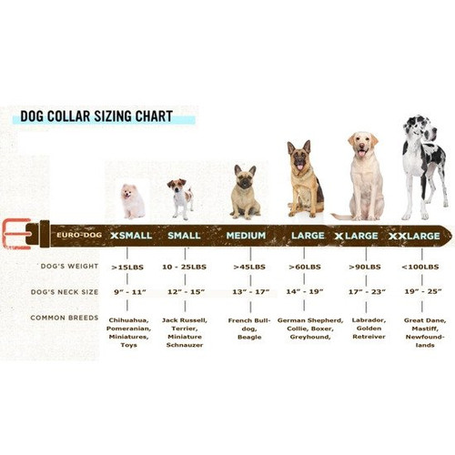 euro dog collar soft black 3.jpg