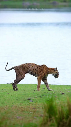 1ZVpQiHKl gTKU t.jpg