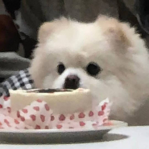 微信图片 202506191521411.jpg