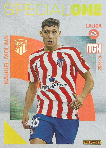 379608 22326504Fr.jpg