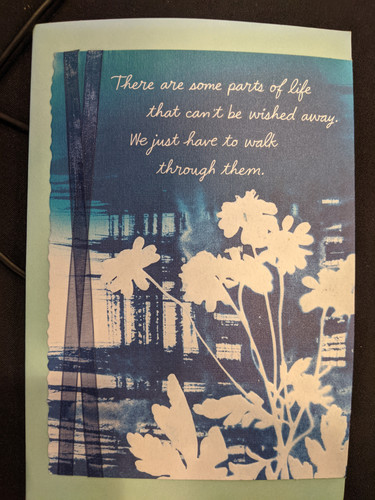 PXL 20250621 231028577.jpg