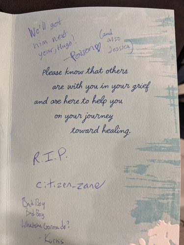 PXL 20250621 231034063.jpg