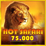 Hot Safari.png