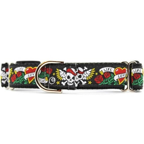 wild one skull dog collar 1.jpg