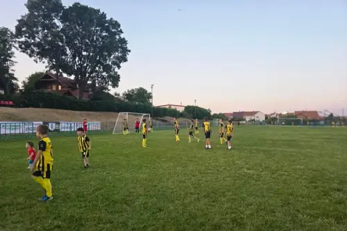 main webp auto generated 4 (1).webp