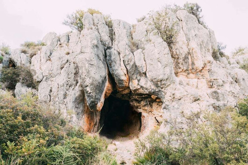 snapedit 1686900253307.jpg