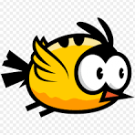 bbird.png