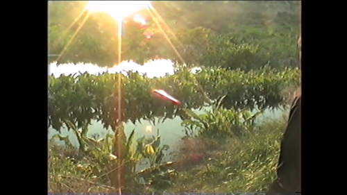 vlcsnap 2025 06 21 12h44m56s580.png