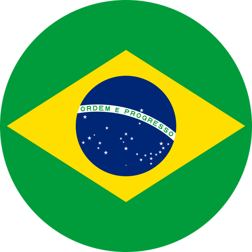 Brazilian flag icon round.svg.png