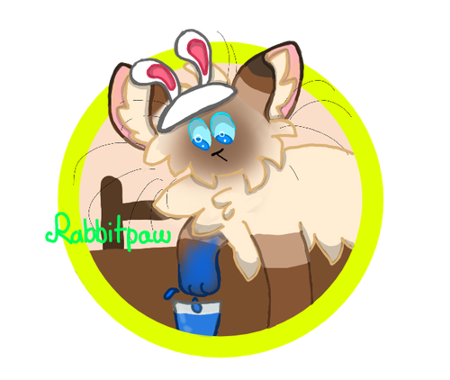 2022 03 25 0xb Kleki