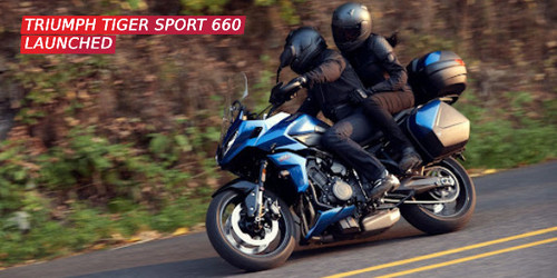 New Project(233).jpg