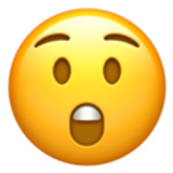 astonished face 1f632