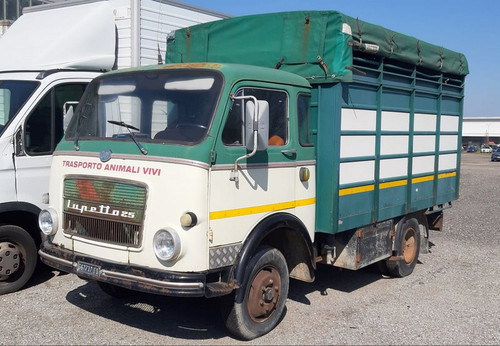 275929030 5248857928480239 8348172547701347978 n.jpg