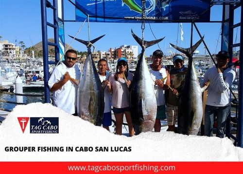 Grouper fishing in Cabo san Lucas.jpg