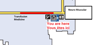 civic s level d elevator to transfusion medicine.png