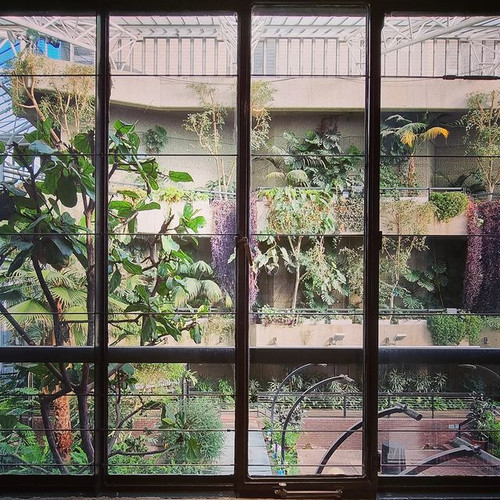 274741142 1299653140520314 9009096366650266781 n.jpg