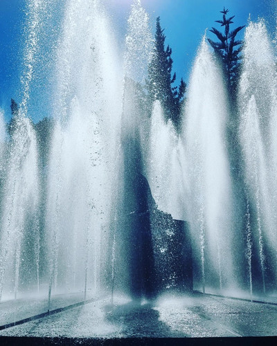 275700687 153141910421562 104005953585616487 n.jpg