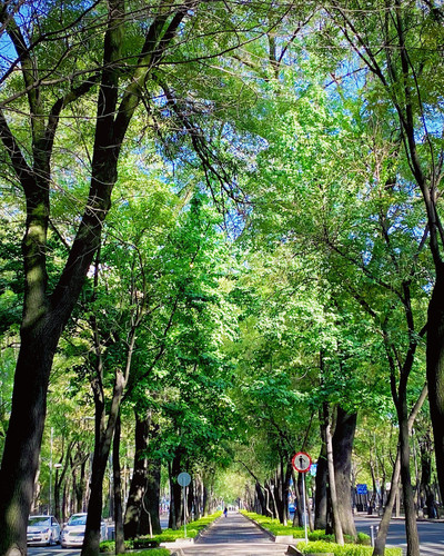 274523950 720459996003962 942727281534463693 n.jpg