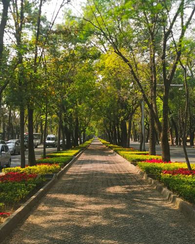 273037318 142890291510657 7905928438174538996 n.jpg