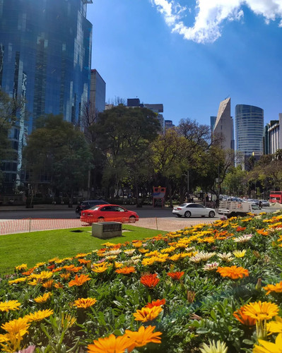 273155771 656421492365874 1867755364897710201 n.jpg