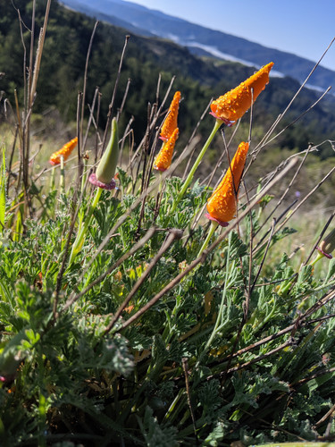 IMG 20220320 093323~3.jpg