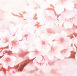 f886cf852f3419f2db76727d69ca0e7b6cbb4310 hq (2).gif