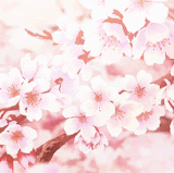 f886cf852f3419f2db76727d69ca0e7b6cbb4310 hq (1).gif