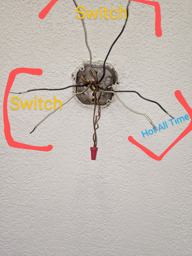 PXL 20220326 165516736~2.jpg