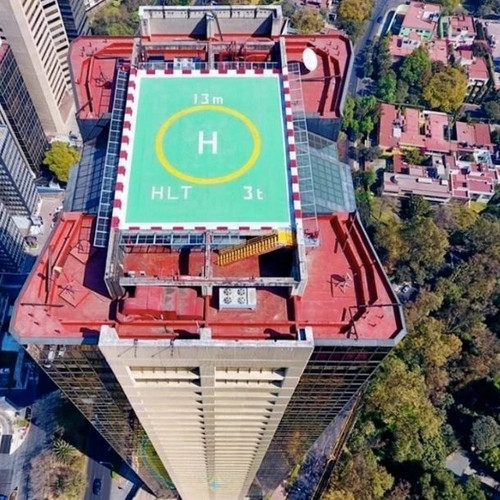 272173004 317674600372081 3515939540408740387 n.jpg