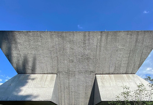 274321878 489356062790465 5101128779501067609 n (2).jpg