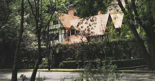 233805944 357736449126395 7220886251449004398 n (2).jpg