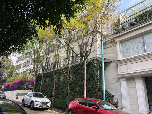 232366979 2929074867367254 3271046118969951661 n.jpg