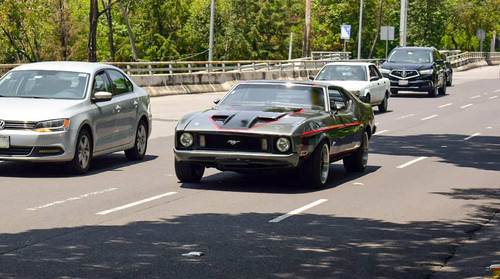 233683905 347689396802057 1986073093845789702 n.jpg