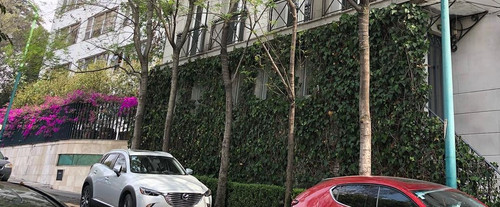 232366979 2929074867367254 3271046118969951661 n (2).jpg