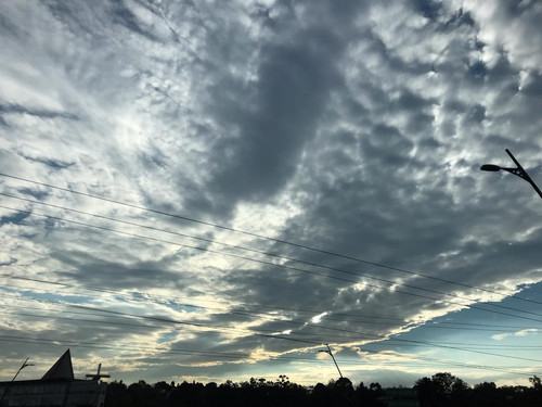 250521925 122300666869548 1301178866325543488 n.jpg