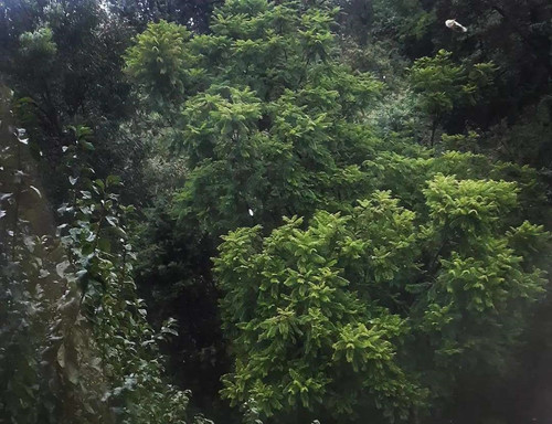 241274151 280098276897863 3267331925698310038 n (2).jpg